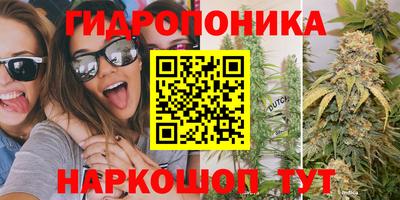 гидропоника Ирбит