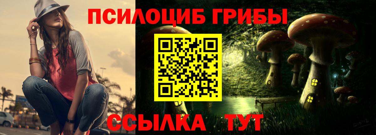Галлюциногенные грибы прущие грибы  Вход с VPN  Кызыл  Галлюциногенные грибы Psilocybine cubensis 
